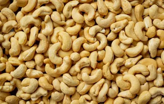 Standard Cashew - Image 1