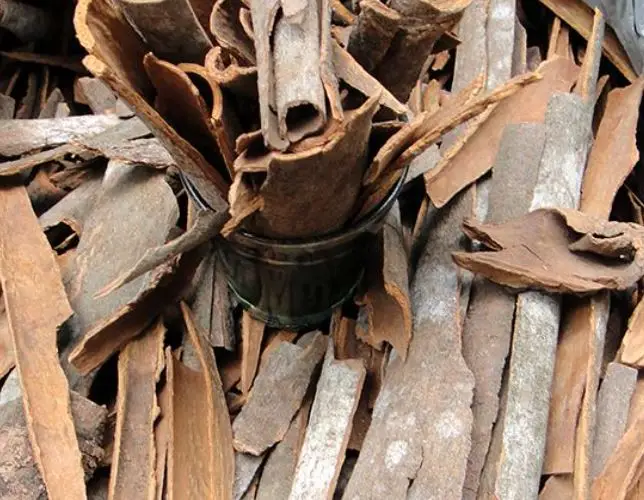 Dalchini or Cinnamon - Image 1